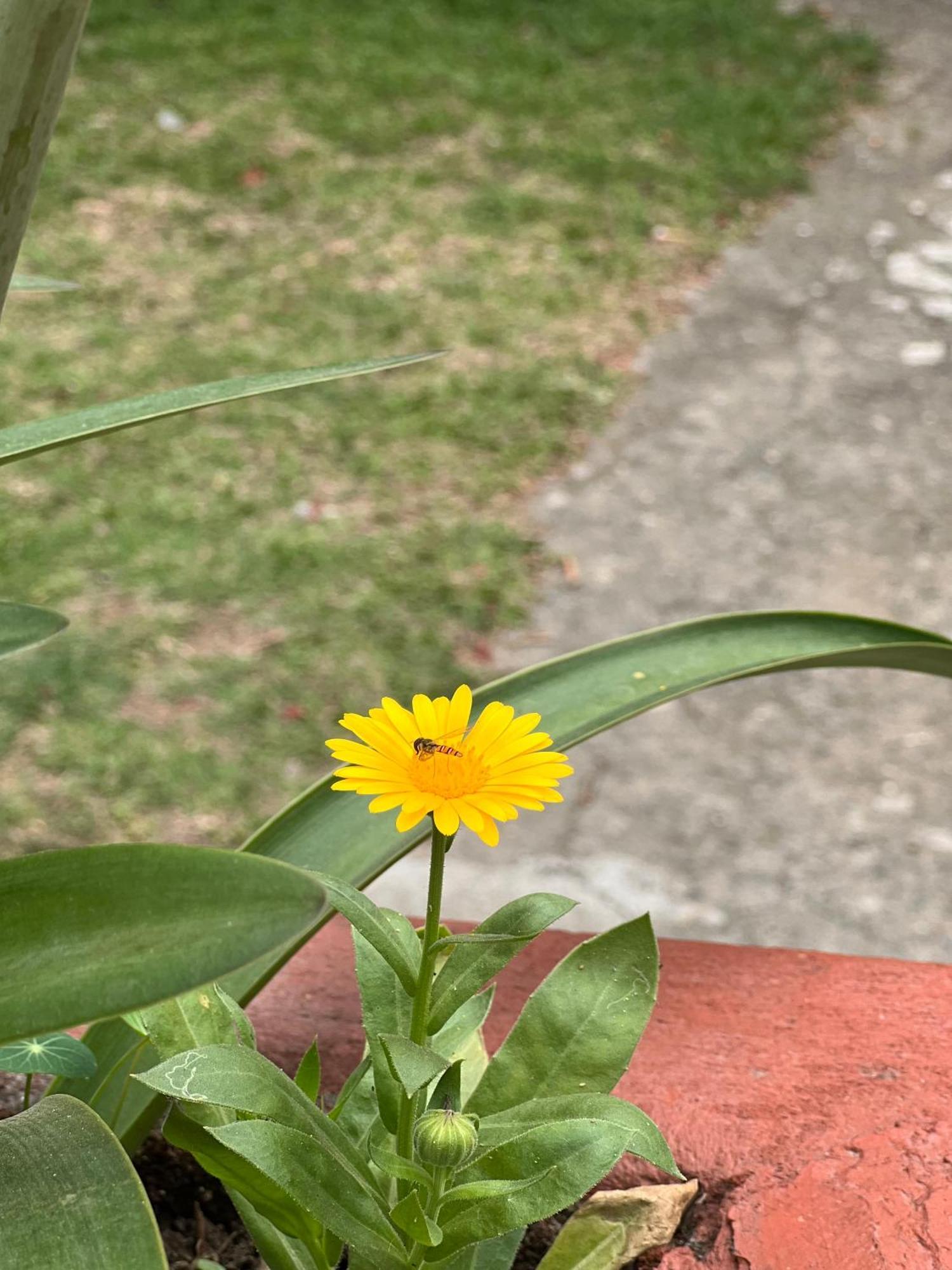 Geo Guest House Pokhara Zewnętrze zdjęcie